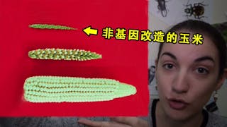 基因改造的豆漿喝了會致癌？哈佛妹：拜託你別上當，這說法超不科學的