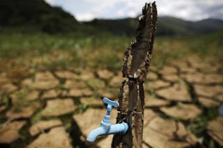 Drought-related cactus installation called "Desert of Cantareira" by Brazilian artist and activist Mundano is seen at Atibainha 