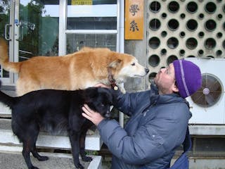 臺大犬王．黑黑胖胖