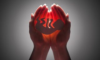 embryo silhouette in woman hand