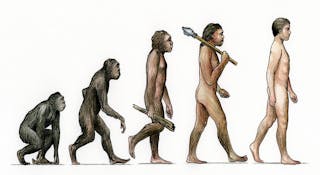 Evolution of man