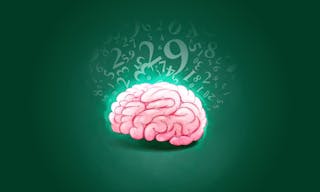 brain_2