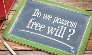 Do we possess free will? A question in white chalk on a vintage blackboard with a stack of books against rustic wooden table - 圖