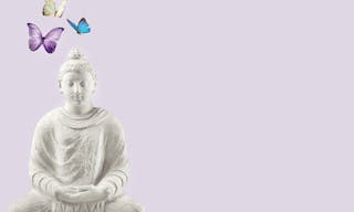 spiritual background for meditation with buddha statue and butterflies