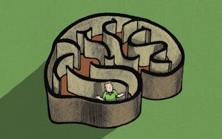 Brain Maze