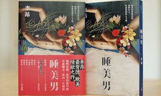 【有鹿】《睡美男》書籍照片-2