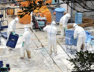 Bird Flu detected in Miyazaki