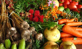 1024px-Ecologically_grown_vegetables