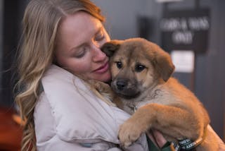 South Korea Dog Meat Rescue