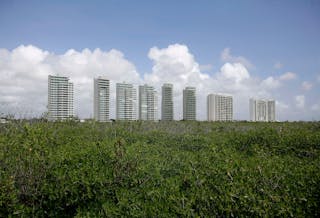 To match Feature CLIMATE/MANGROVES