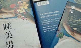 【有鹿】《睡美男》書籍照片-1