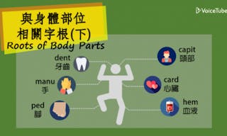 與身體部位相關的字根：運用聯想法，拆解單字學習超快速（下）