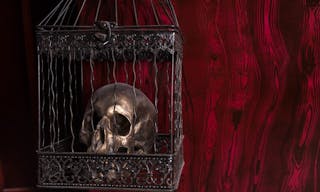 Close Up of Shiny Gothic Skull in Ornate Metal Cage in front of Red Background with Copy Space