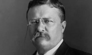 President_Roosevelt_-_Pach_Bros