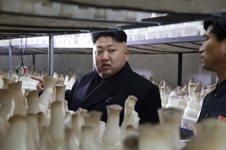 North Korean leader Kim Jong Un gives field guidance to the newly-built Pyongyang City Mushroom Farm