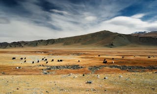 Mongolian landscape — Photo by muha04