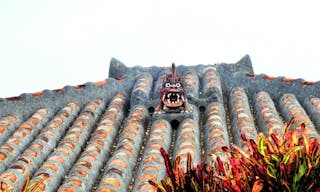 沖繩 Okinawa lion on a house's roof,Okinawa,Japan. - 圖片