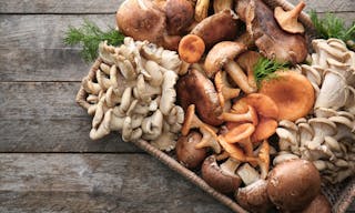 蘑菇 Wicker tray with variety of raw mushrooms on wooden table - 圖片