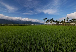 Taiwan Rendezvous at Hualien