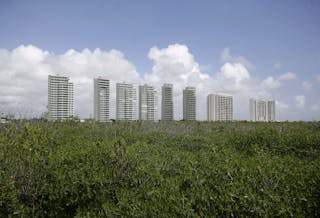 To match Feature CLIMATE/MANGROVES