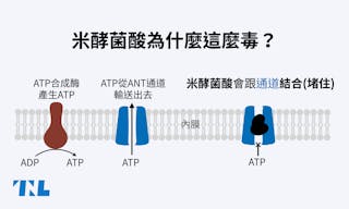 米酵菌酸-封面