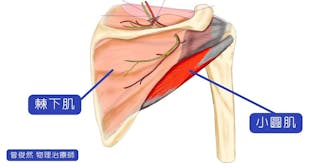 「背肌無力」原來是這個原因！解決肩膀不舒服的秘訣在這裡