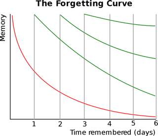 艾賓豪斯的遺忘曲線
Forgetting Curve