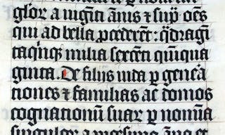 Calligraphy_malmesbury_bible_arp