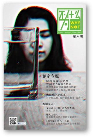 文學雜誌《WHY NOT 不為什麼》封面。（新文潮出版社）