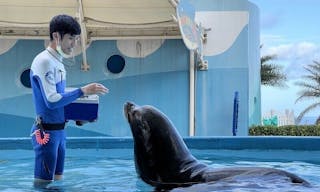 遠雄海洋公園飼養海洋動物花費高