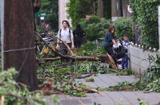 颱風康芮襲台，導致台北市約2000處樹倒，儘管環保局、工務局等人員連夜搶救災，仍來不及完全清除。圖為1日上午台北市安和路2段人行道上樹枝散落，家長搬起推車才能通過。