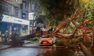 颱風康芮襲台  北市路樹壓損路過汽車（1）