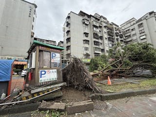 台灣本島1日上午已脫離颱風康芮暴風圈，台北市累計接獲390件民生及基礎設施災情、318件建物毀損、307件廣告招牌欲墜或掉落等通報，且初估有超過2000株路樹倒塌。圖為台北市信義區松隆路上路樹倒塌。