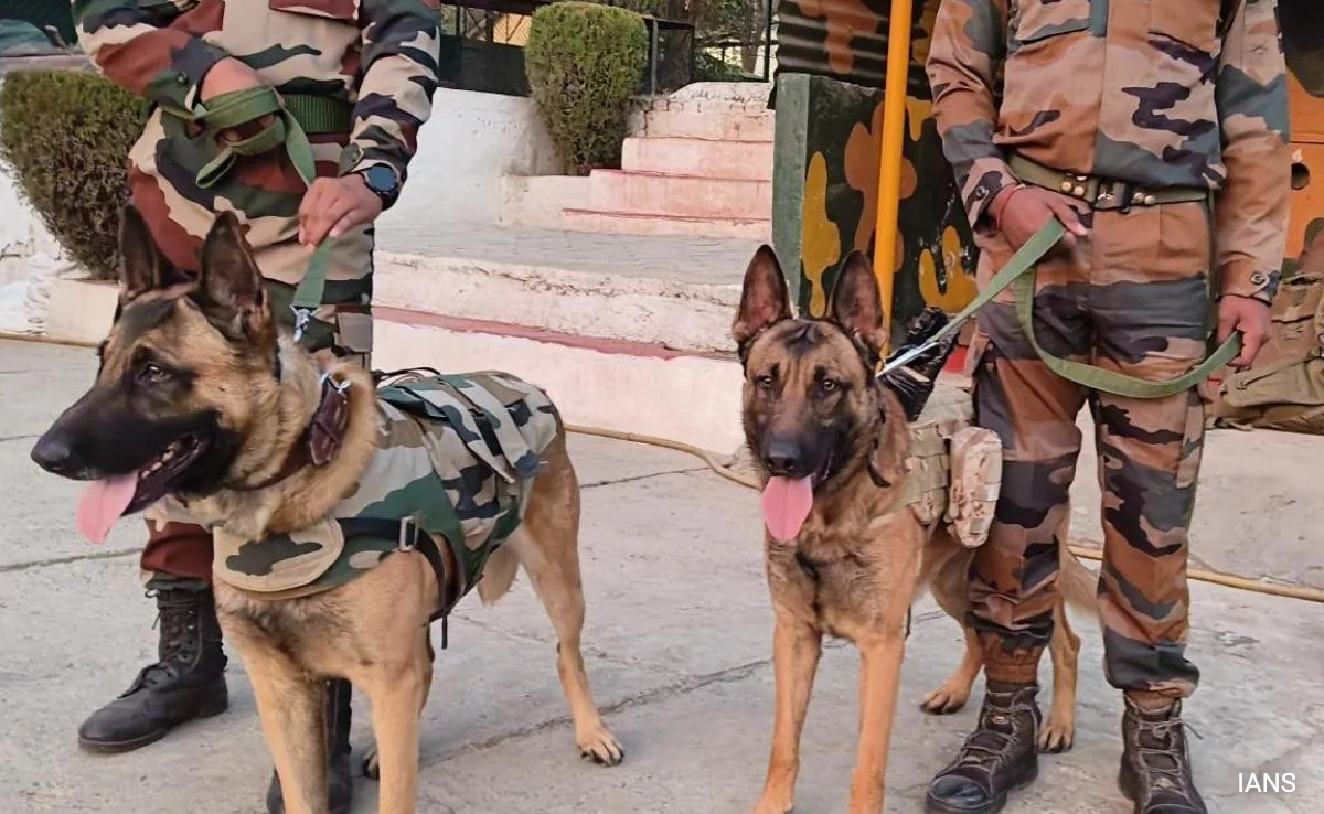 Haryana Police Expands Dog Squad From 36 To 63 To Help Sniff Out Crime