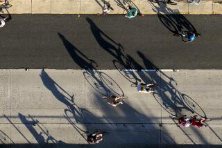 An aerial view of early morning light casting shadows of bicyclists taking part in ArroyoFest