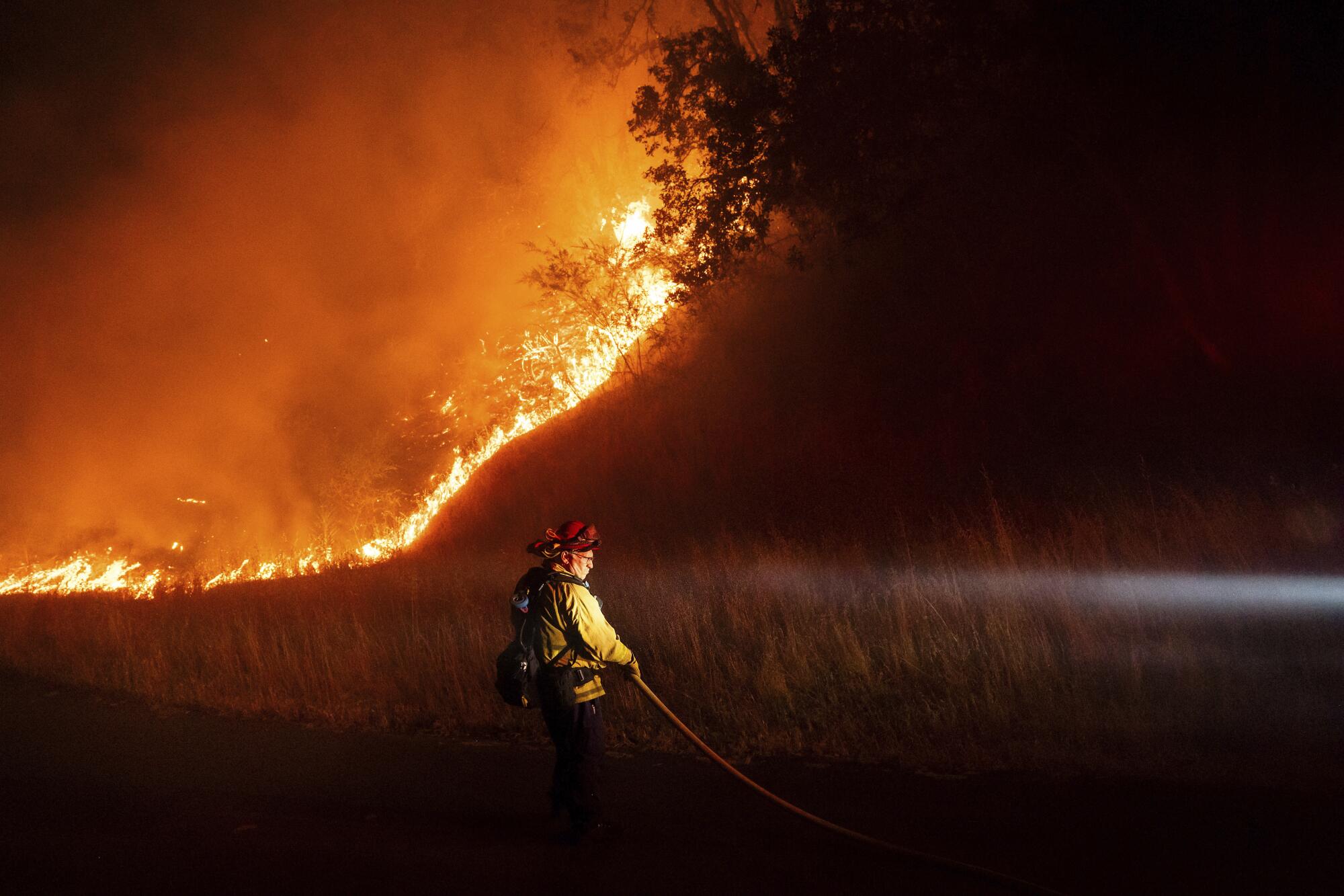 A firefighter carries a hose while battling the Point fire in Healdsburg, Calif., on June 16.
