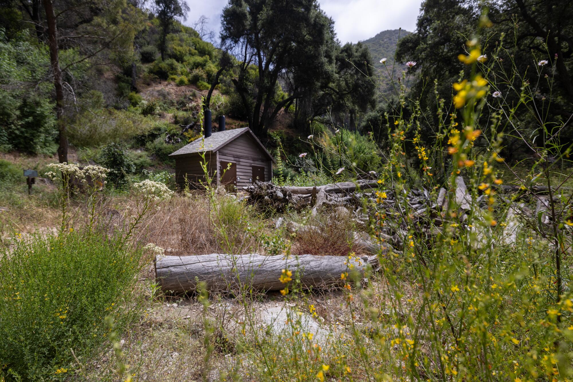  A building that housed restrooms is surrounded by vegetation and debris in Big Santa Anita Canyon.