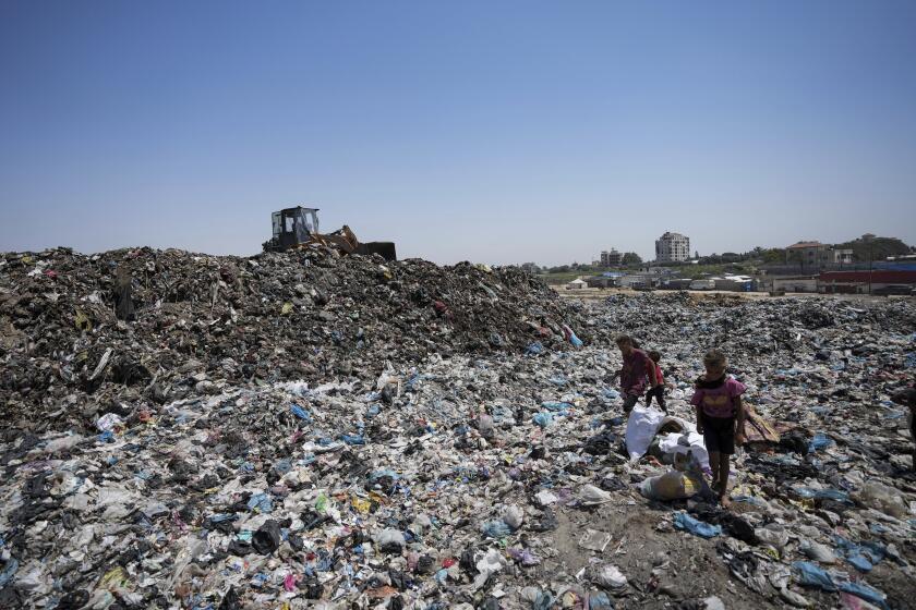 Palestinians sort through trash at a landfill in Nuseirat refugee camp, Gaza Strip, Thursday, June 20, 2024. Israel's war in Gaza has decimated the strip's sanitation system while simultaneously displacing the vast majority of the population, leaving many Palestinians living in tent camps nearby water contaminated with sewage and growing piles of garbage. (AP Photo/Abdel Kareem Hana)