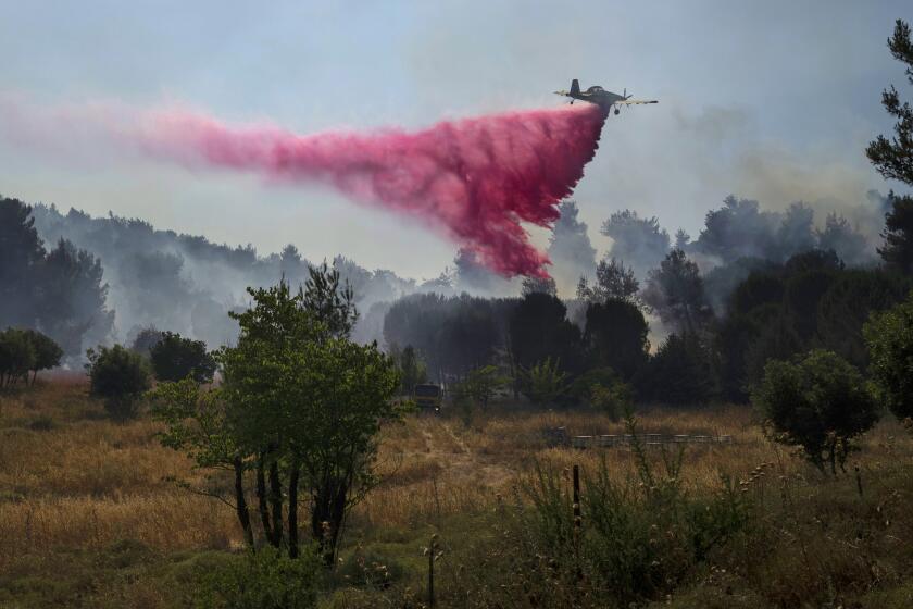 A plane uses a fire retardant to extinguish a fire burning in an area near the border with Lebanon, in Safed, northern Israel, Wednesday, June 12, 2024. Scores of rockets were fired from Lebanon toward northern Israel on Wednesday morning, hours after Israeli airstrikes killed four officials from the militant Hezbollah group including a senior military commander. (AP Photo/Leo Correa)