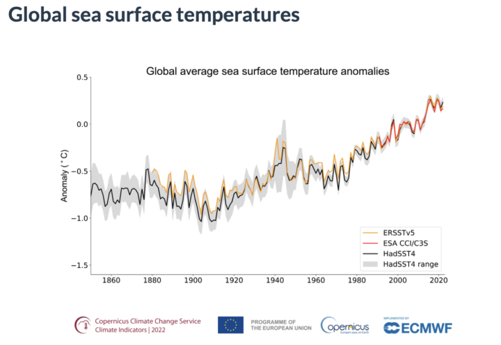 Annual global average sea surface temperature (°C), relative to the average for the 1991–2020 reference period.