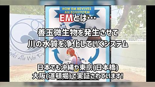 ニセ科学EM菌がハワイで感染拡大中。JALがキャリアーになる恐れも。