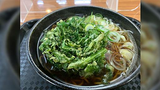 アメリカ人の知人が日本に来てドハマリした食べ物『春菊の天ぷら蕎麦』の話といろいろなドハマりグルメ「関東に多いのか」