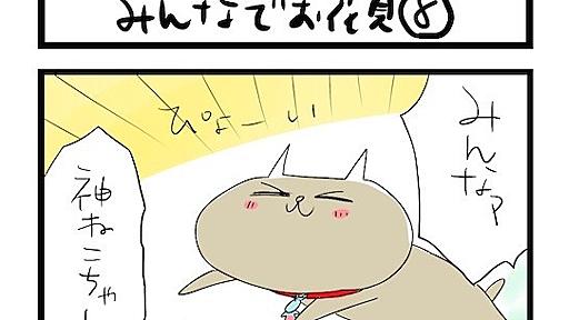 【夜の4コマ部屋】みんなでお花見8 / サチコと神ねこ様 第371回 / wako先生