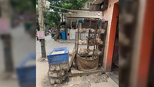 インドの肉屋ってマジで衝撃的で、何と冷蔵庫持ってない店がかなりあるじゃあどうするのかというと→山岡さんブチ切れそう