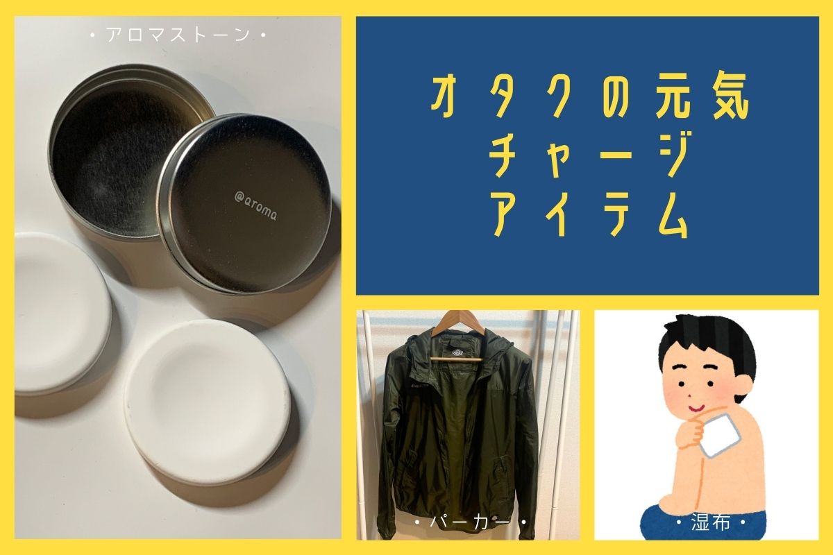 遠征先でもぐっすり眠りたい。毎週出張していた僕がたどり着いた #オタクの元気チャージアイテム