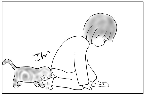 猫の頭突き