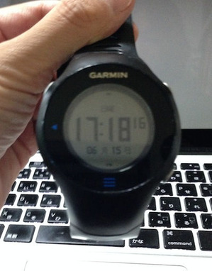 garmin610