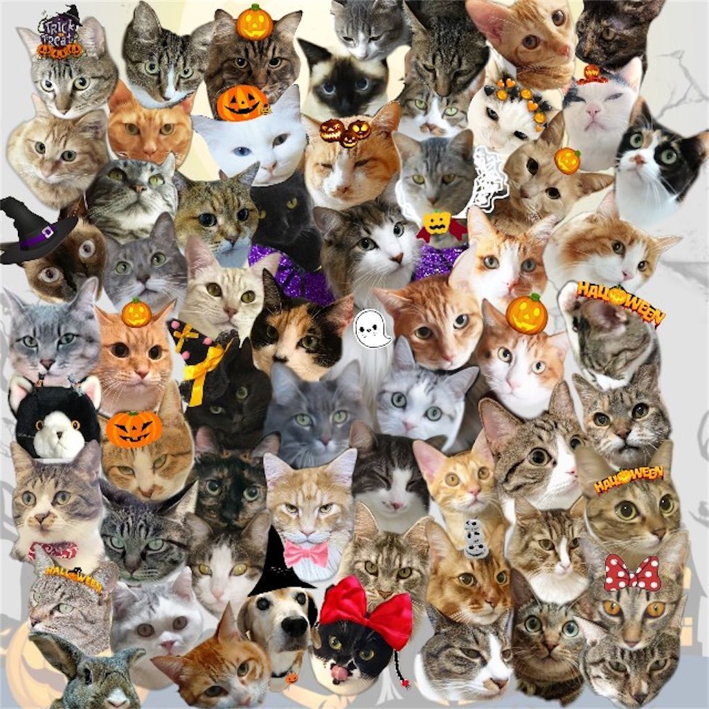 2020ねこ森町ハロウィン