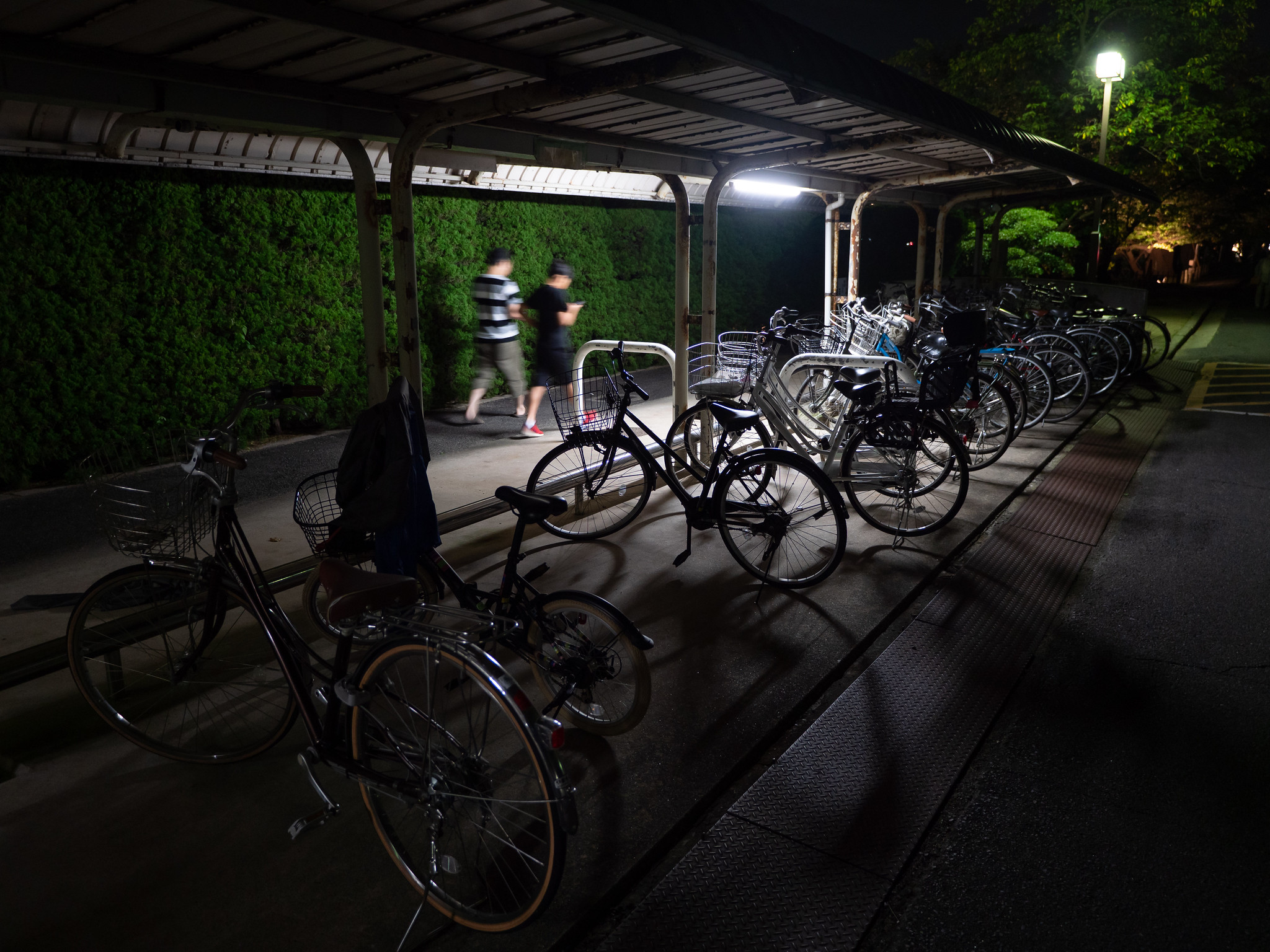 自転車置き場