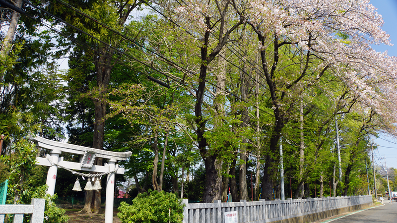 下溝八幡宮（相模原市南区下溝）